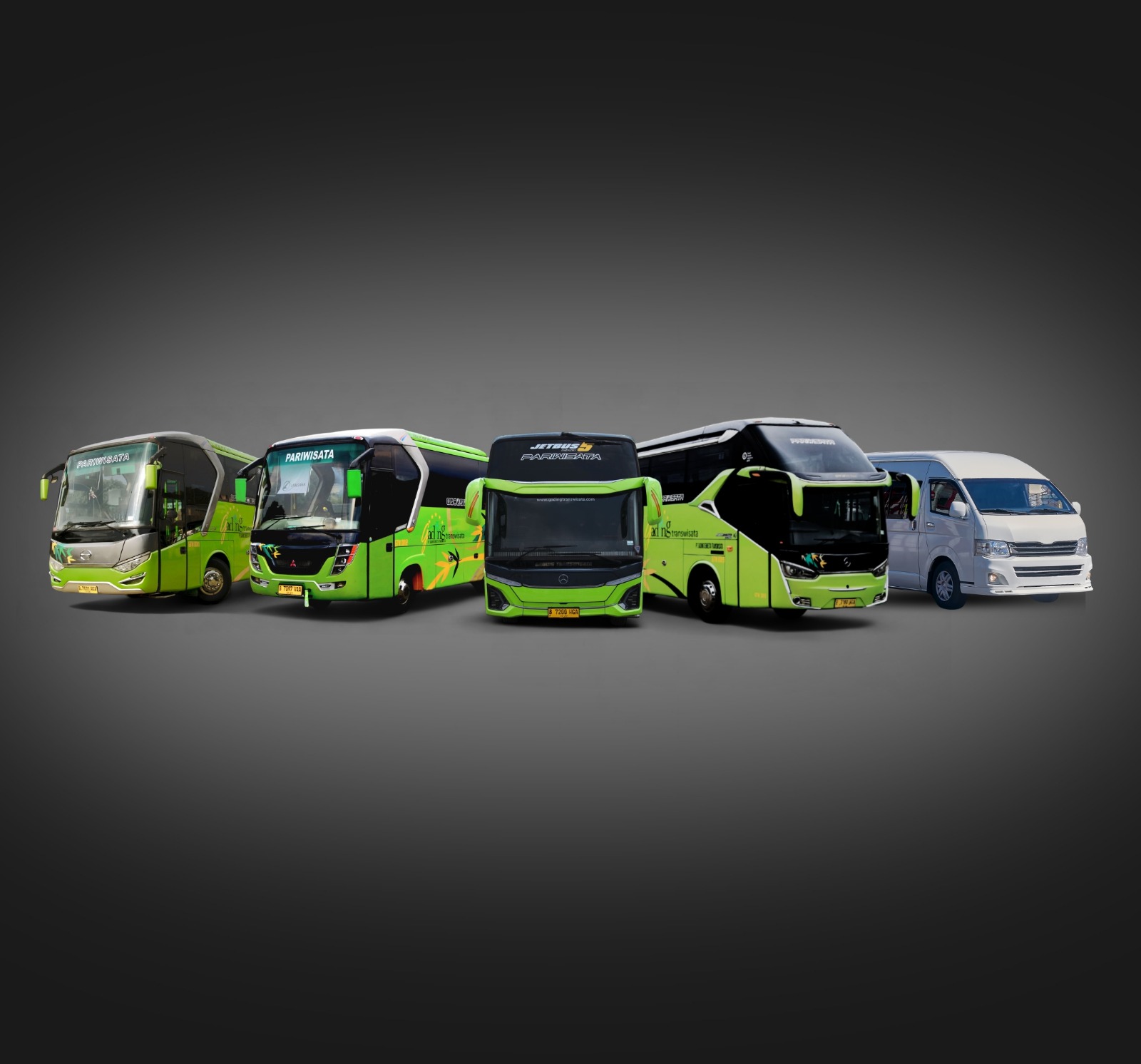 Bus Pariwisata